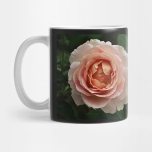 Delicate Pink Rose Mug